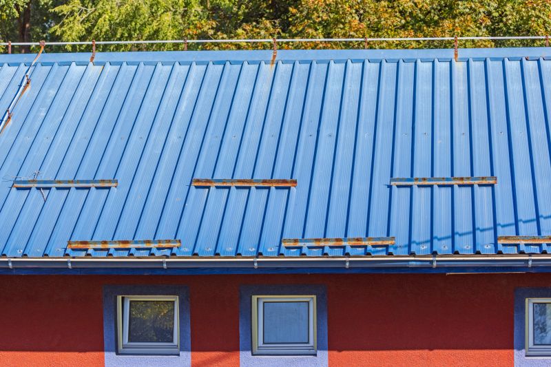 Roof Painting Pro