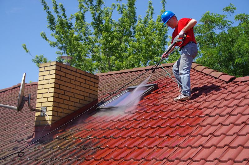 Roof Painting Pro