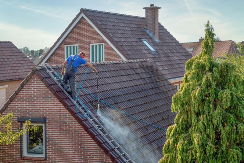 Roof Painting Pro